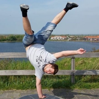 FlyS